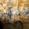 grotte_chauvet_19