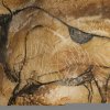 grotte_chauvet_20