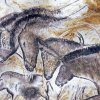 grotte_chauvet_22