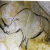 grotte_chauvet_72