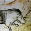 grotte_chauvet_77